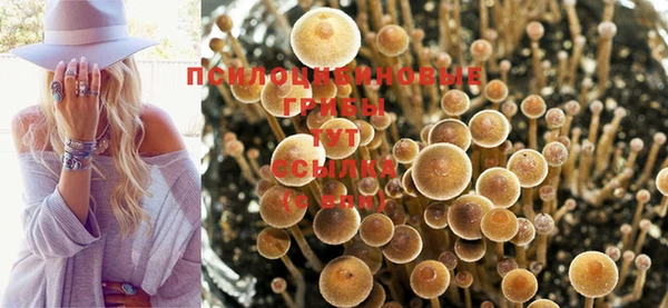 гашишное масло Арсеньев