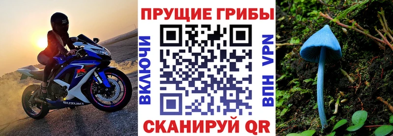 Галлюциногенные грибы мицелий  Светлоград 